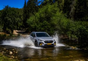 הרפתקת שטח במעיינות של ירושלים